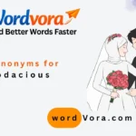 synonyms for bodacious
