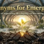 synonyms for emergence
