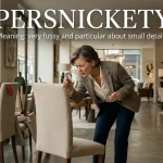 Synonyms for Persnickety